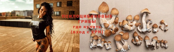 mdma Ельня