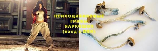 спайс Елабуга