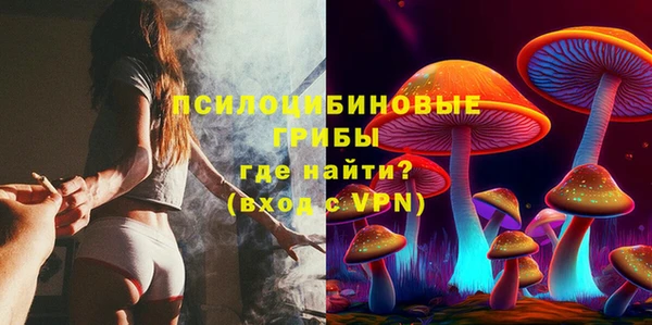 спайс Елабуга