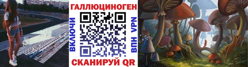 Псилоцибиновые грибы Psilocybine cubensis Хотьково